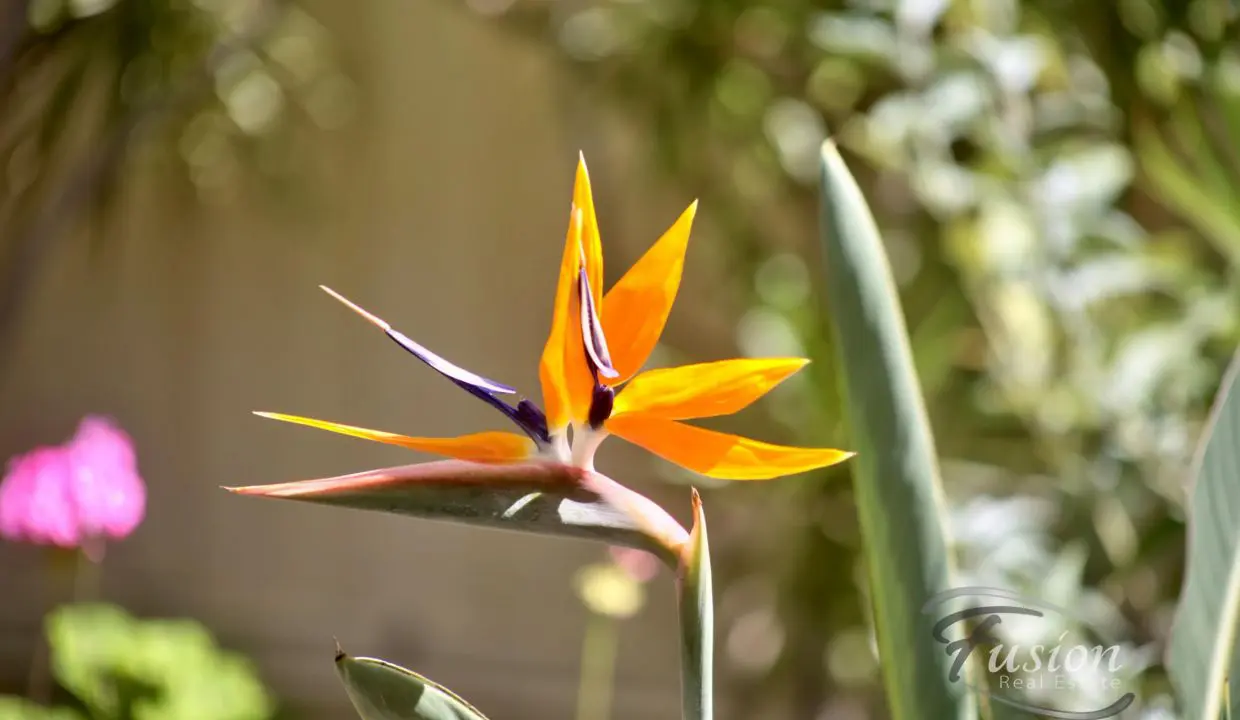 uploads1620022924132-0ca8srd3hwkt-378866598ae2174d4f6c842a3f7dd39820