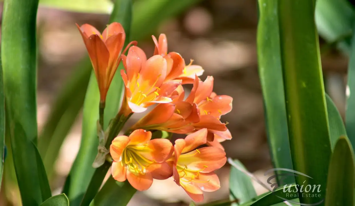 uploads1620022924134-6b9b2bq05i-378866598ae2174d4f6c842a3f7dd39821