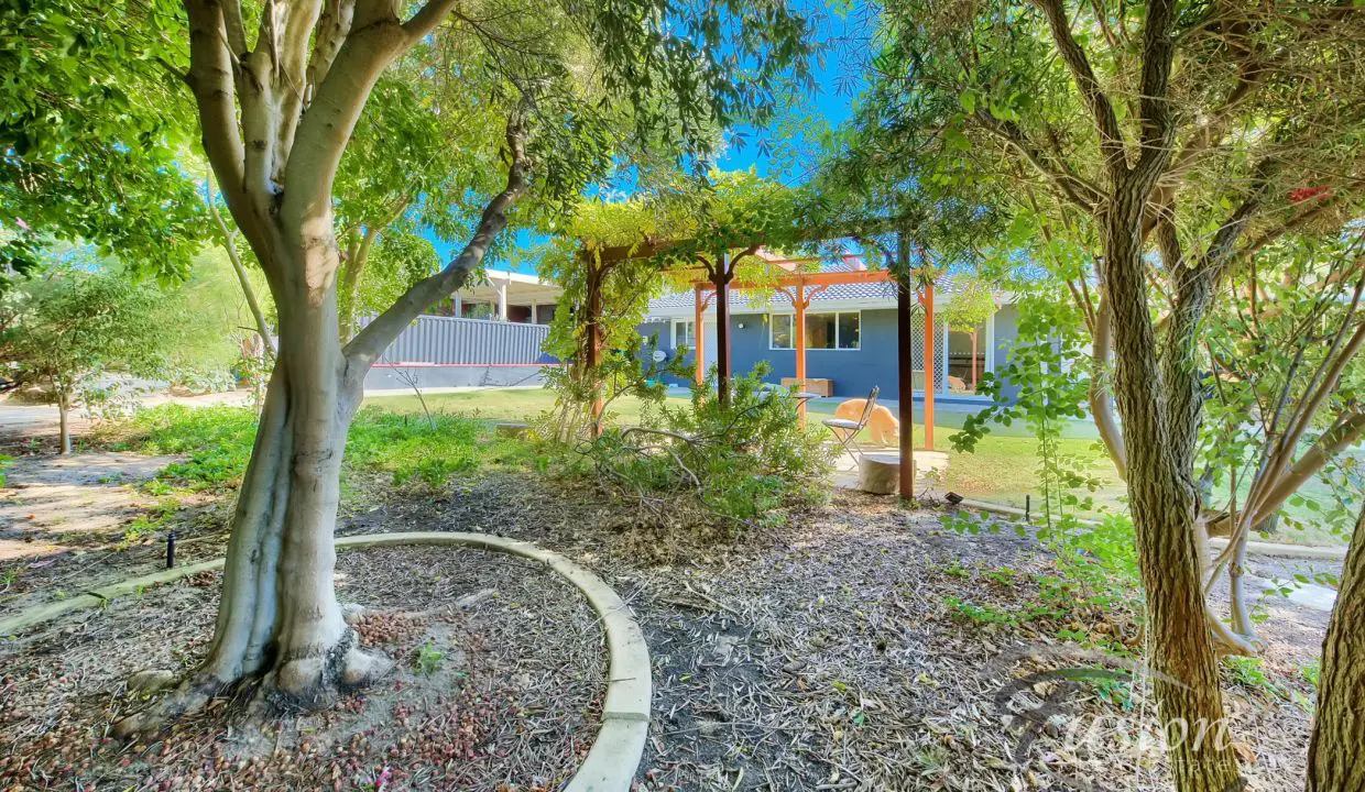 uploads1653021975476-qajiv9tb96j-232c6a3c7438cdb75c83cf6638caae1e23