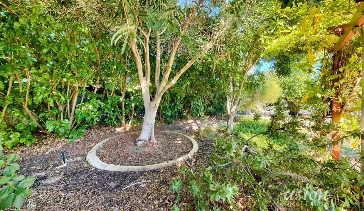 uploads1653021975477-j6psyyk8il-232c6a3c7438cdb75c83cf6638caae1e24