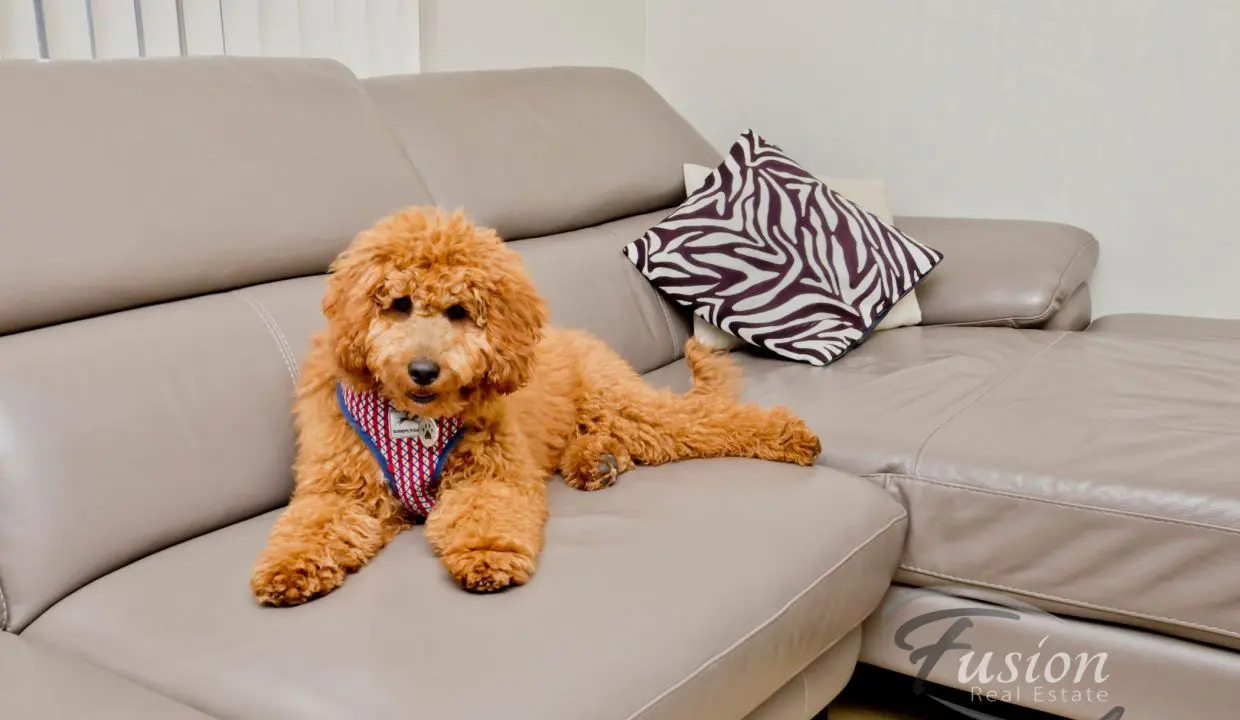 uploads1677561481561-7un5y6ftaiy-4402dcb2dd631bc268d4271d9fb34d5723-Strathyre-Way-Duncraig-044