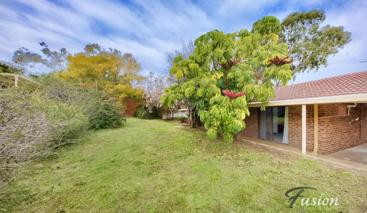 uploads1689921319490-hwtagbvip8o-59c7fd543ac15ff0378fd60544bbaef854-Merivale-st-Greenwood-052